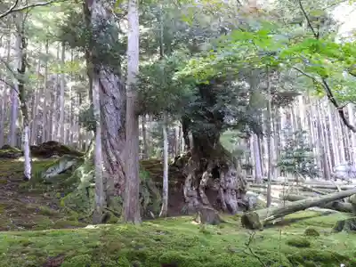 若狭神宮寺(福井県)