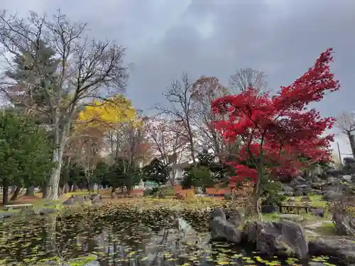 北海道護國神社の庭園