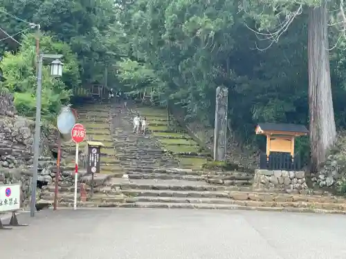 平泉寺白山神社(福井県)