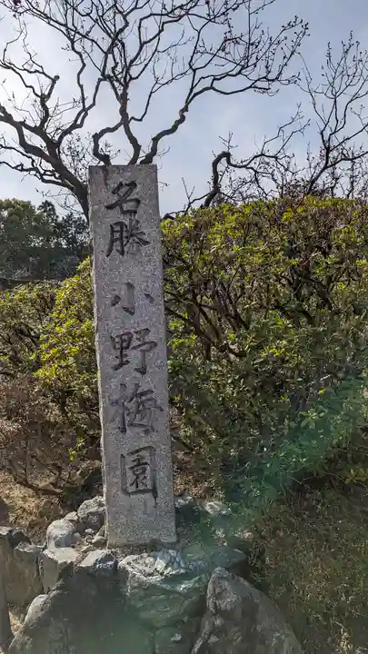 隨心院(随心院)(京都府)