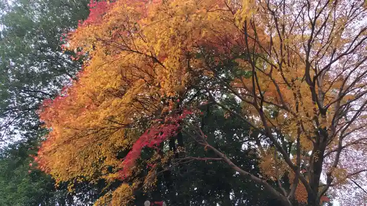 近江神宮(滋賀県)