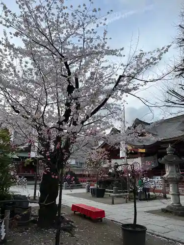 素盞雄神社(東京都)