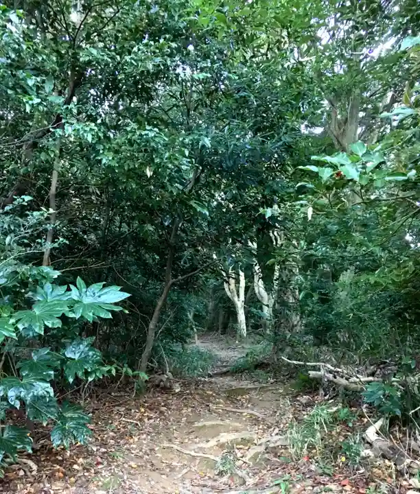 足立山妙見宮(御祖神社)の自然
