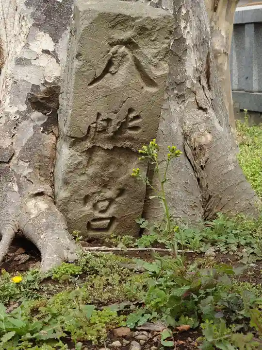 横曽根神社 (埼玉県)
