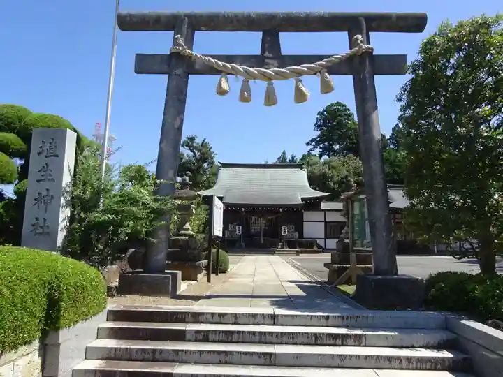 埴生神社(千葉県)