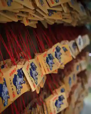 玉村八幡宮(群馬県)