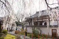 本満寺（本願満足寺）の建物その他