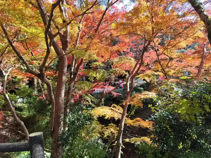 根来寺(和歌山県)
