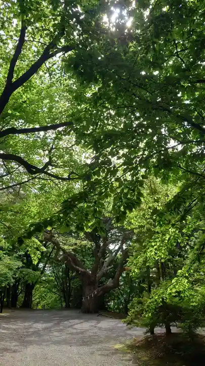 相馬神社(北海道)