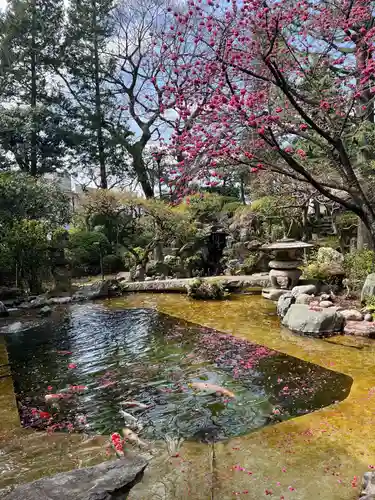 感通寺の庭園