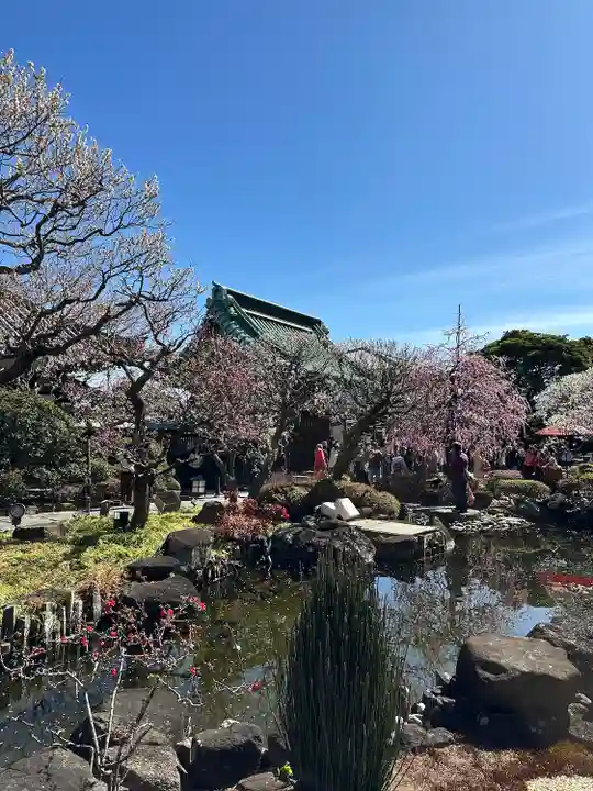 長谷寺(神奈川県)