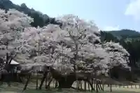 淡墨観音(岐阜県)
