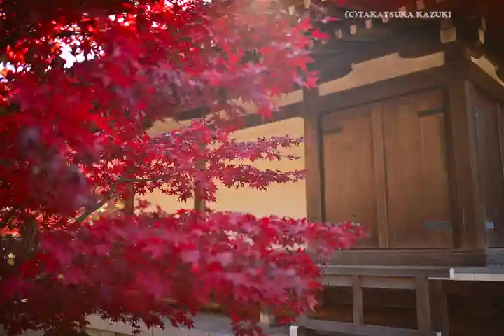 東漸寺(千葉県)