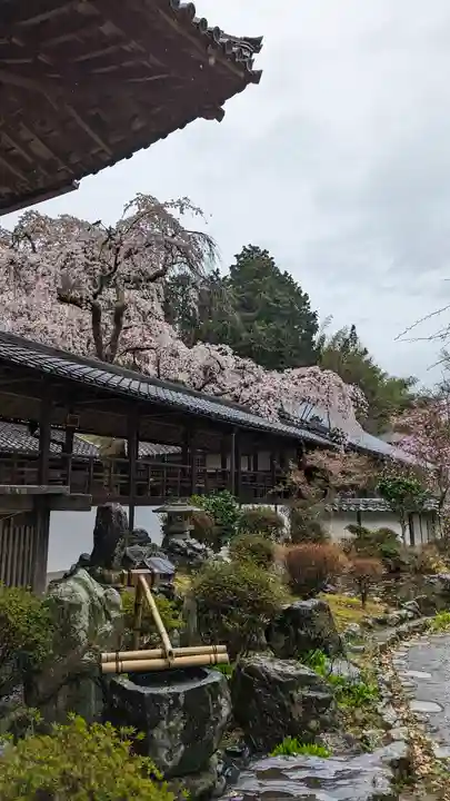 十輪寺(京都府)