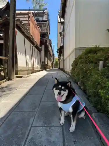 善光寺の{uncategorized: "未分類", other: "その他", undefined: "問題あり", building: "その他建物", grave: "お墓", sacred_gate: "鳥居", guardian: "狛犬", statue: "像", buddha: "仏像", history: "歴史", nature: "自然", garden: "庭園", animal: "動物", pagoda: "塔", temizu: "手水舎", mountain_gate: "山門・神門", sanctuary: "本殿・本堂", subordinate: "末社・摂社", art: "芸術", scenery: "景色", jizo: "地蔵", ema: "絵馬", goshuin: "御朱印", omikuji: "おみくじ", items: "授与品その他", amulet: "お守り", goshuincho: "御朱印帳", eats: "食事", festival: "お祭り", votive_dance: "神楽", shichigosan: "七五三参", wedding: "結婚式", experience: "体験その他", initially: "初詣", around: "周辺", anti_infection: "感染症対策"}