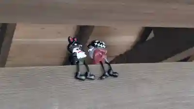 玉田神社(京都府)