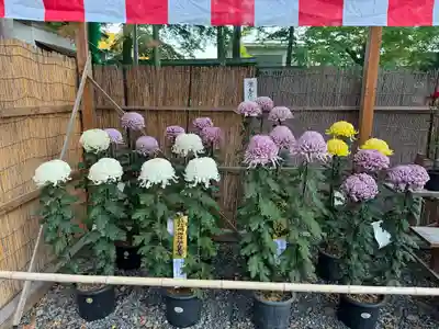 諏訪大社下社秋宮(長野県)