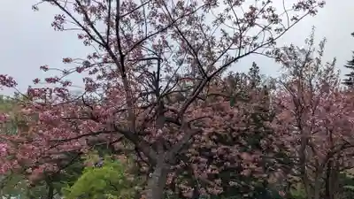 多賀神社の自然