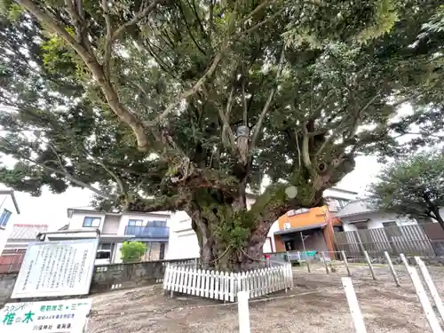 川俣神社(三重県)