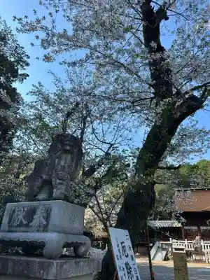 手力雄神社の{uncategorized: "未分類", other: "その他", undefined: "問題あり", building: "その他建物", grave: "お墓", sacred_gate: "鳥居", guardian: "狛犬", statue: "像", buddha: "仏像", history: "歴史", nature: "自然", garden: "庭園", animal: "動物", pagoda: "塔", temizu: "手水舎", mountain_gate: "山門・神門", sanctuary: "本殿・本堂", subordinate: "末社・摂社", art: "芸術", scenery: "景色", jizo: "地蔵", ema: "絵馬", goshuin: "御朱印", omikuji: "おみくじ", items: "授与品その他", amulet: "お守り", goshuincho: "御朱印帳", eats: "食事", festival: "お祭り", votive_dance: "神楽", shichigosan: "七五三参", wedding: "結婚式", experience: "体験その他", initially: "初詣", around: "周辺", anti_infection: "感染症対策"}