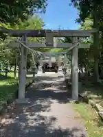 大針神社の鳥居