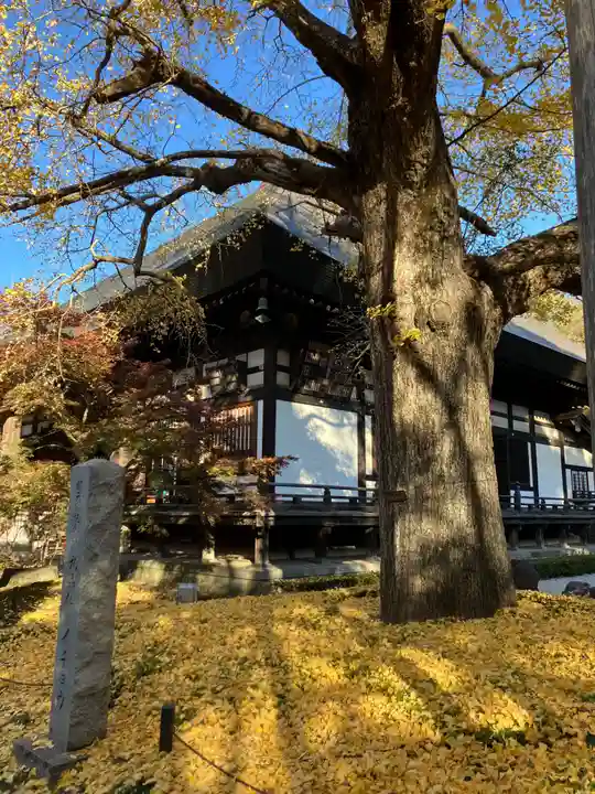 淨眞寺(東京都)