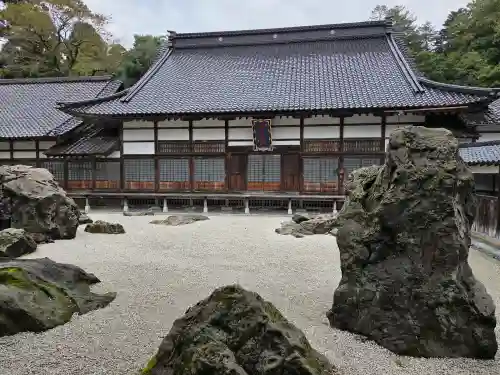國泰寺の{uncategorized: "未分類", other: "その他", undefined: "問題あり", building: "その他建物", grave: "お墓", sacred_gate: "鳥居", guardian: "狛犬", statue: "像", buddha: "仏像", history: "歴史", nature: "自然", garden: "庭園", animal: "動物", pagoda: "塔", temizu: "手水舎", mountain_gate: "山門・神門", sanctuary: "本殿・本堂", subordinate: "末社・摂社", art: "芸術", scenery: "景色", jizo: "地蔵", ema: "絵馬", goshuin: "御朱印", omikuji: "おみくじ", items: "授与品その他", amulet: "お守り", goshuincho: "御朱印帳", eats: "食事", festival: "お祭り", votive_dance: "神楽", shichigosan: "七五三参", wedding: "結婚式", experience: "体験その他", initially: "初詣", around: "周辺", anti_infection: "感染症対策"}