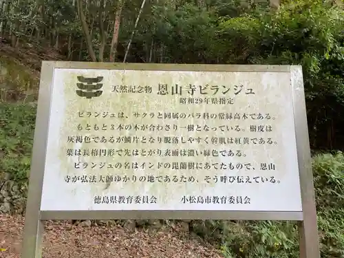 恩山寺(徳島県)