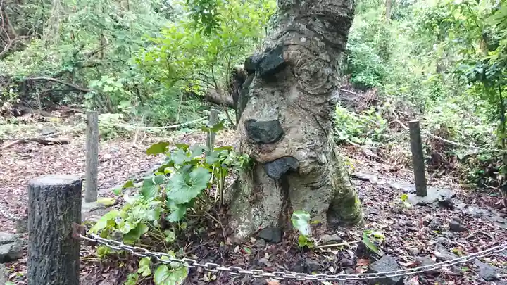 蓮着寺(静岡県)