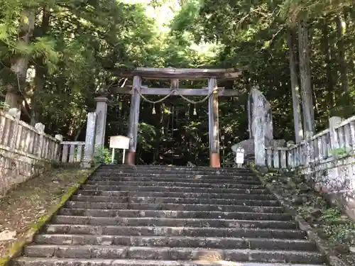 戸隠神社宝光社の鳥居