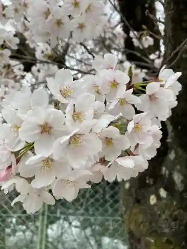 正ノ木稲荷 稲積神社の自然