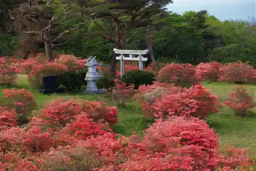 高柴山神社の景色