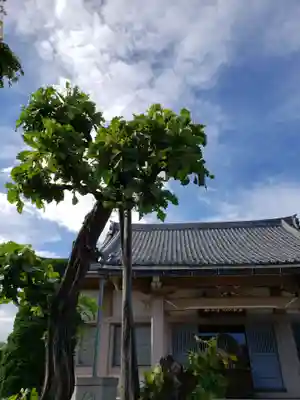 永福寺の本殿・本堂