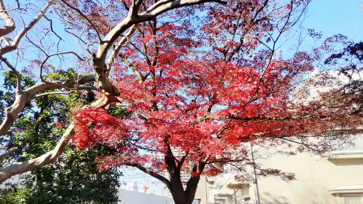 圓蔵寺(埼玉県)