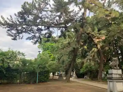 天祖若宮八幡宮(東京都)