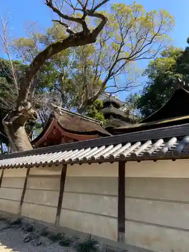 御剱八幡宮の本殿・本堂