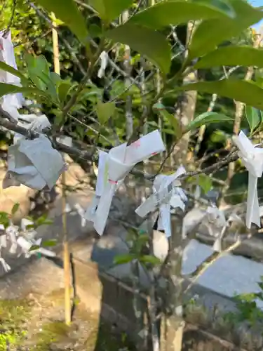 巖島神社(鹿児島県)