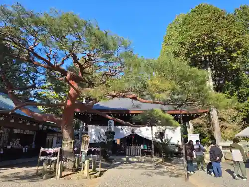 尾張冨士大宮浅間神社の自然