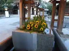 宮地嶽神社の手水