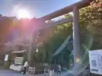 北海道神宮の鳥居