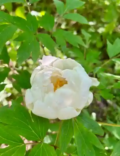 蚊里田八幡宮(長野県)