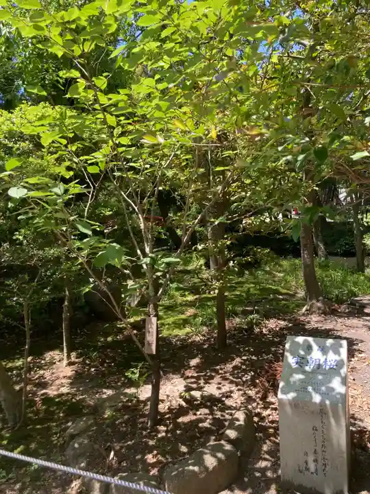 鶴岡八幡宮(神奈川県)