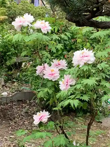 十輪寺(群馬県)