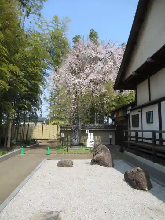 真光寺(千葉県)