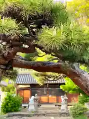 住吉神社の本殿