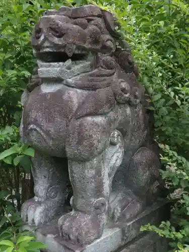 新熊野神社の狛犬