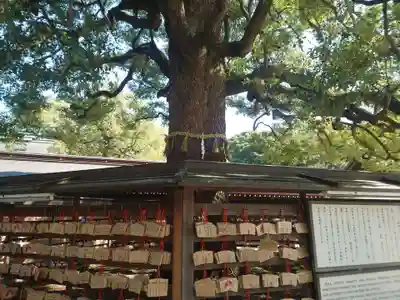 明治神宮(東京都)