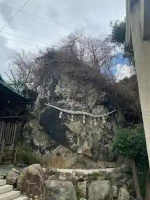 和布刈神社の{uncategorized: "未分類", other: "その他", undefined: "問題あり", building: "その他建物", grave: "お墓", sacred_gate: "鳥居", guardian: "狛犬", statue: "像", buddha: "仏像", history: "歴史", nature: "自然", garden: "庭園", animal: "動物", pagoda: "塔", temizu: "手水舎", mountain_gate: "山門・神門", sanctuary: "本殿・本堂", subordinate: "末社・摂社", art: "芸術", scenery: "景色", jizo: "地蔵", ema: "絵馬", goshuin: "御朱印", omikuji: "おみくじ", items: "授与品その他", amulet: "お守り", goshuincho: "御朱印帳", eats: "食事", festival: "お祭り", votive_dance: "神楽", shichigosan: "七五三参", wedding: "結婚式", experience: "体験その他", initially: "初詣", around: "周辺", anti_infection: "感染症対策"}