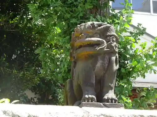 諏訪神社の狛犬