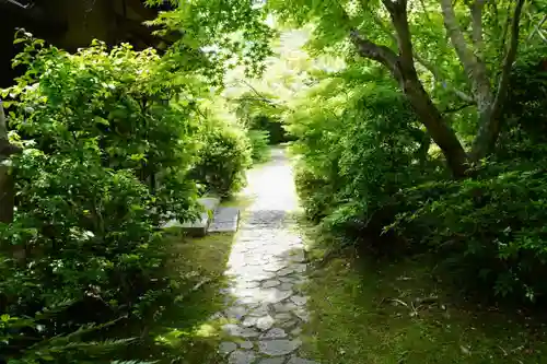 善法律寺(京都府)